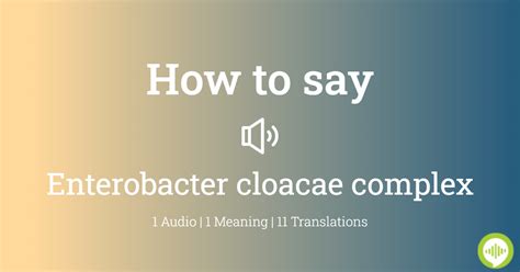 enterobacterales pronunciation|How to pronounce enterobacter .